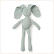 Load image into Gallery viewer, Organic Snuggle Hunny Bunny - Sage