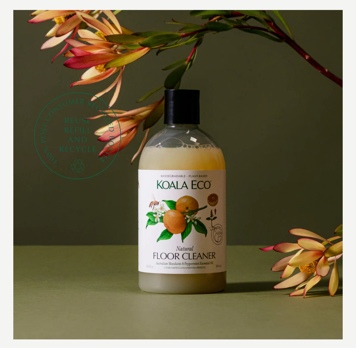 Koala Eco - FLOOR CLEANER 500ML - Mandarin & Peppermint essential oil ...