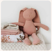 Load image into Gallery viewer, Organic Snuggle Hunny Bunny - Rose