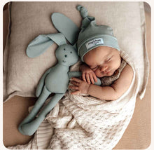 Load image into Gallery viewer, Organic Snuggle Hunny Bunny - Sage