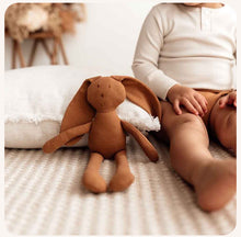 Load image into Gallery viewer, Organic Snuggle Hunny Bunny - Bronze
