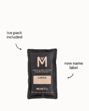 Load image into Gallery viewer, MontiiCo Large Insulated Lunch Bag - MEADOW