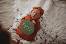 Load image into Gallery viewer, Cactus & Leaf Green Reversible Milestone Cards - Snuggle Hunny Kids - Green Lily