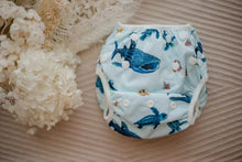 Load image into Gallery viewer, My Little Gumnut - MARINE LIFE - swimming nappy (18-36months)