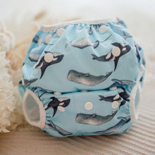 Load image into Gallery viewer, My Little Gumnut - WHALES - swimming nappy (3-18months)