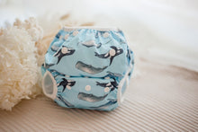 Load image into Gallery viewer, My Little Gumnut - WHALES - swimming nappy (3-18months)