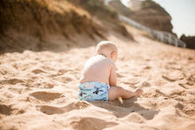 Load image into Gallery viewer, My Little Gumnut - WHALES - swimming nappy (18-36months)