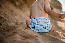 Load image into Gallery viewer, My Little Gumnut - WHALES - swimming nappy (18-36months)