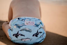 Load image into Gallery viewer, My Little Gumnut - WHALES - swimming nappy (18-36months)