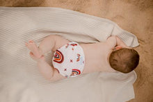 Load image into Gallery viewer, My Little Gumnut - RAINBOW - swimming nappy (3-18months)