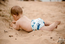 Load image into Gallery viewer, My Little Gumnut - MARINE LIFE - swimming nappy (18-36months)