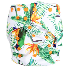 Load image into Gallery viewer, Boho Babes OSFM - Lorikeets