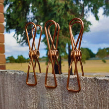 Load image into Gallery viewer, Twin Pack Rose Gold Stainless Steel Infinity Clothes Pegs 40 Regular & 10 Large - Green Lily