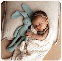 Load image into Gallery viewer, Organic Snuggle Hunny Bunny - Sage
