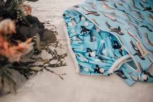 My Little Gumnut - WHALES - swimming nappy (3-18months)