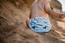 Load image into Gallery viewer, My Little Gumnut - WHALES - swimming nappy (3-18months)
