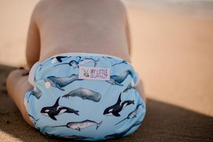 My Little Gumnut - WHALES - swimming nappy (3-18months)