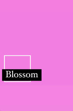 Load image into Gallery viewer, Name Tags for Cloth Nappies - BLOSSOM
